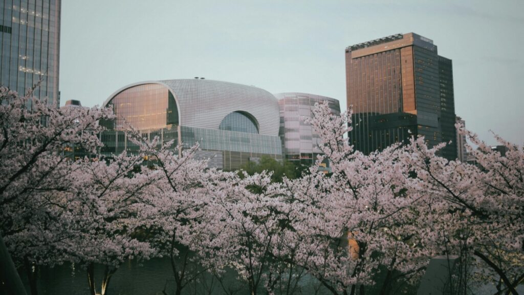 Comment les blogueurs TikTok du Niger collaborent avec les annonceurs d’Inde en 2025