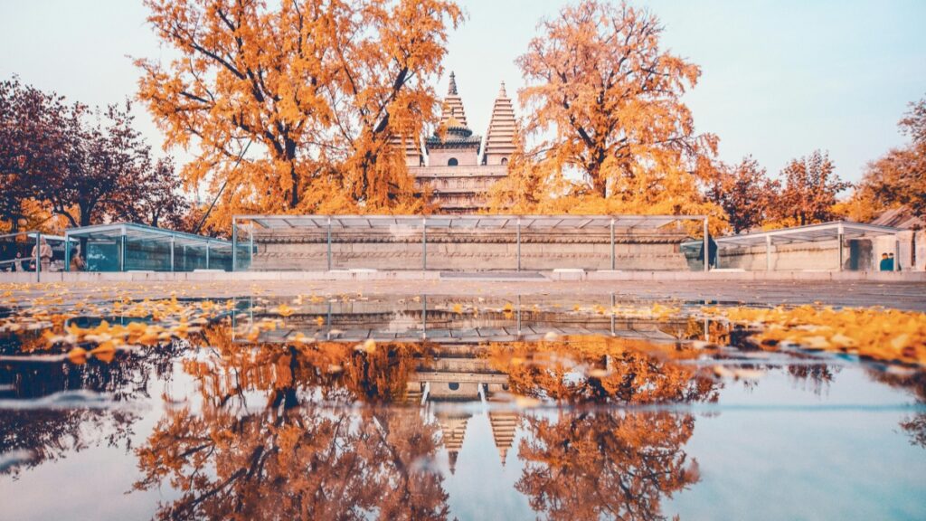 Comment les blogueurs Telegram au Niger collaborent avec usa annonceurs en 2025