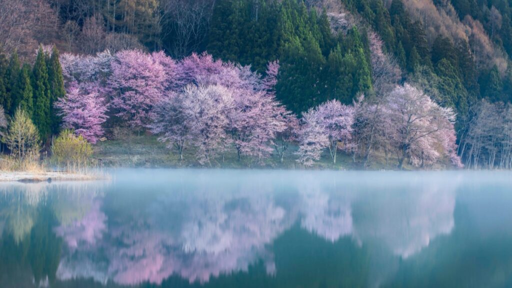 Comment les youtubeurs de Niger collaborent avec les annonceurs russes en 2025