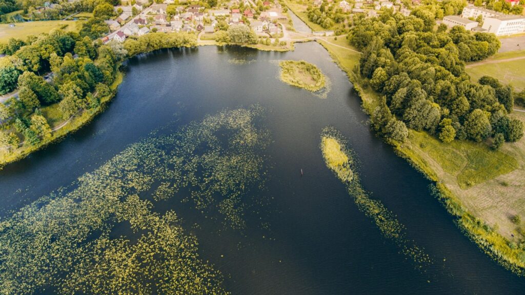 How Niger Snapchat bloggers can collaborate with India advertisers in 2025