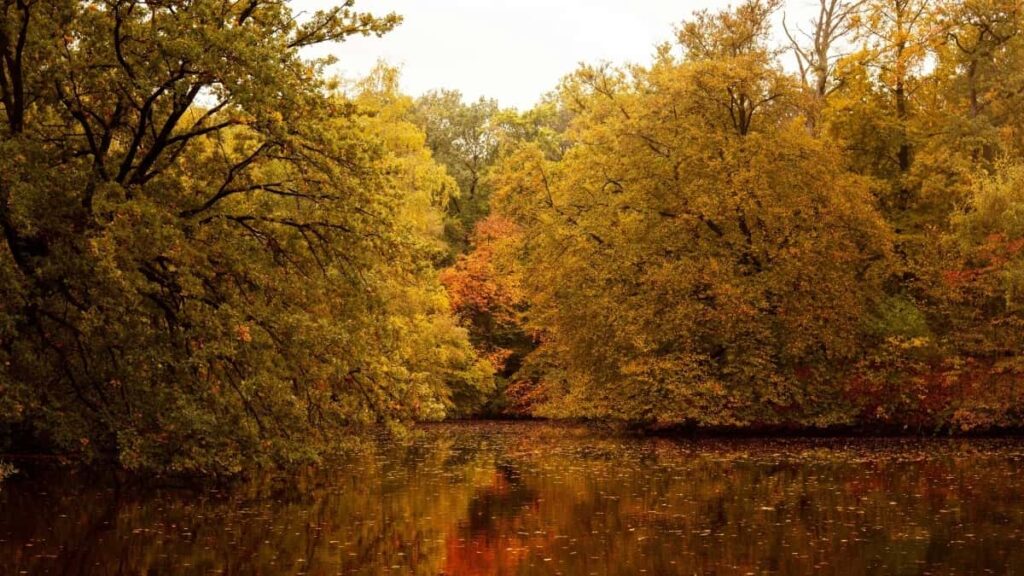 Comment les blogueurs LinkedIn du Niger peuvent collaborer avec les annonceurs italiens en 2025