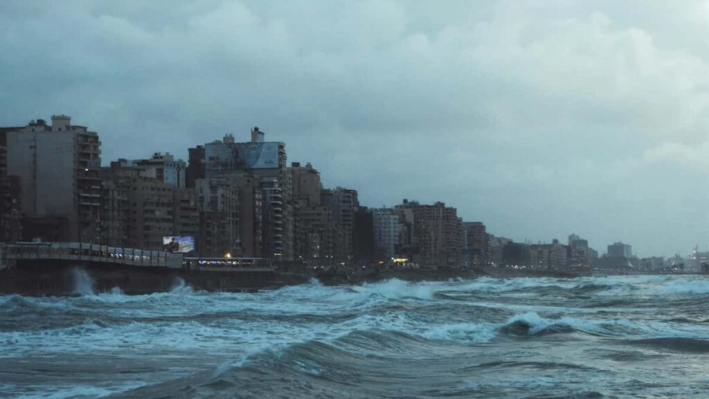 Comment les blogueurs WhatsApp du Niger collaborent avec les annonceurs Algériens en 2025