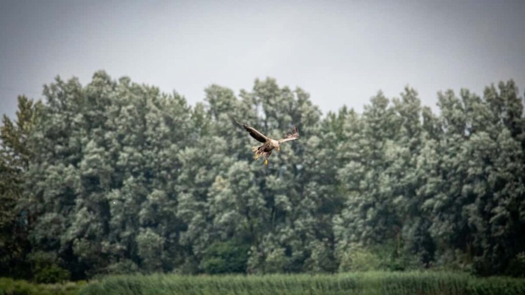 Comment les blogueurs YouTube Niger collaborent avec les annonceurs Maroc en 2025