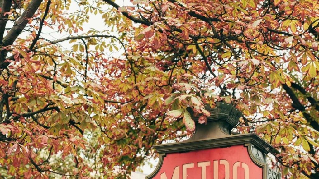 2025 Turkey WhatsApp AllCategory Advertising Rate Card for Niger Market