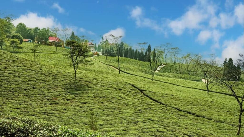 2025 United Arab Emirates Pinterest AllCategory Advertising Rate Card