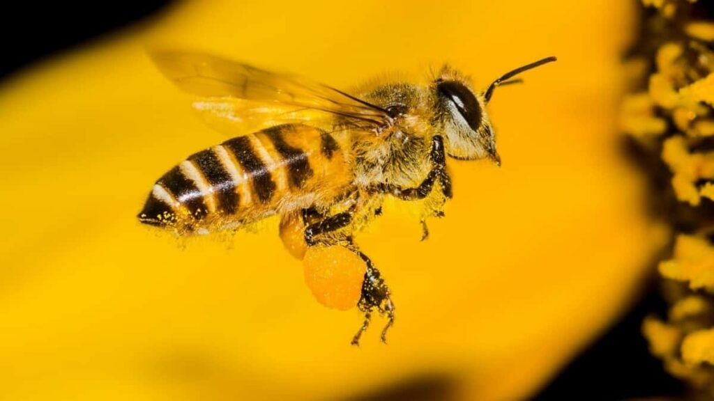 2025 Nigeria WhatsApp AllCategory Advertising Rate Card Niger