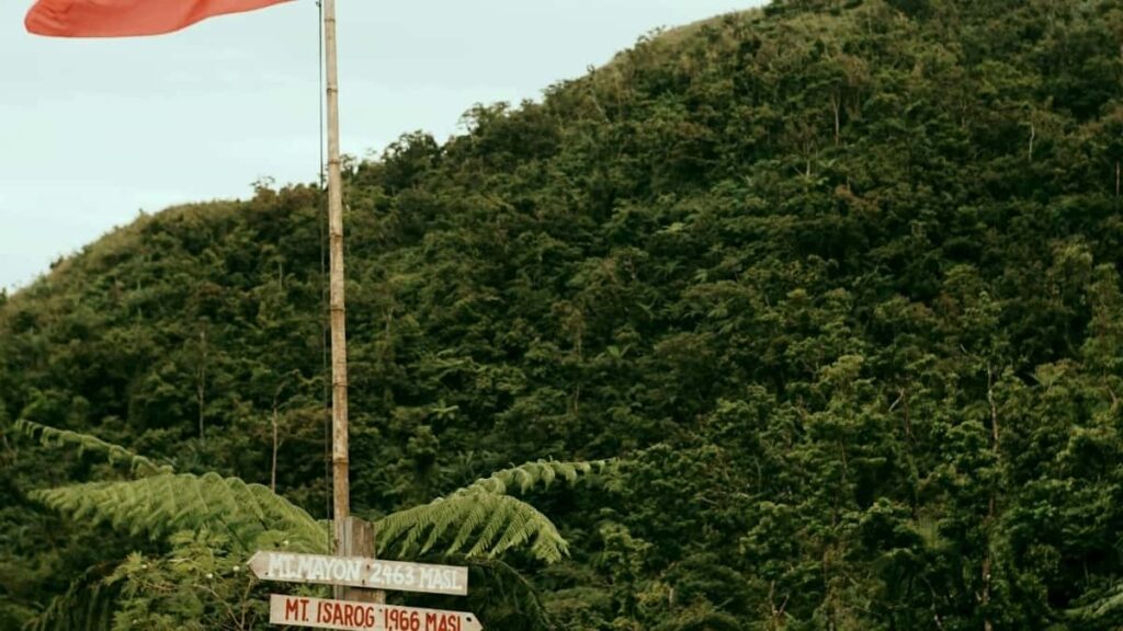 2025 France YouTube AllCategory Advertising Rate Card pour Niger