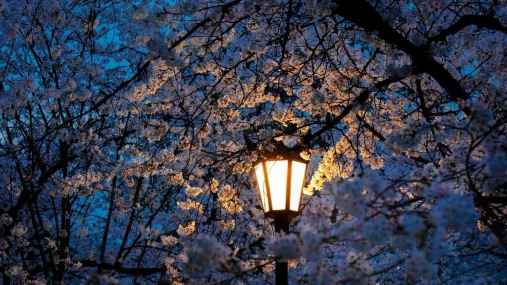 2025 Brazil Snapchat AllCategory Advertising Rate Card for Niger Market