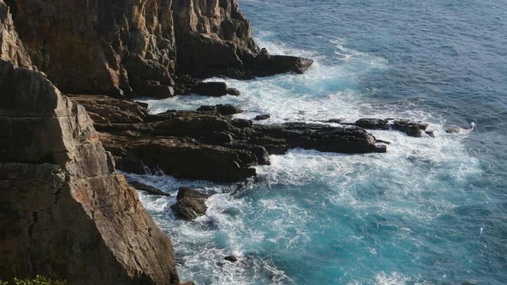 2025 Algeria Twitter AllCategory Advertising Rate Card pour Niger