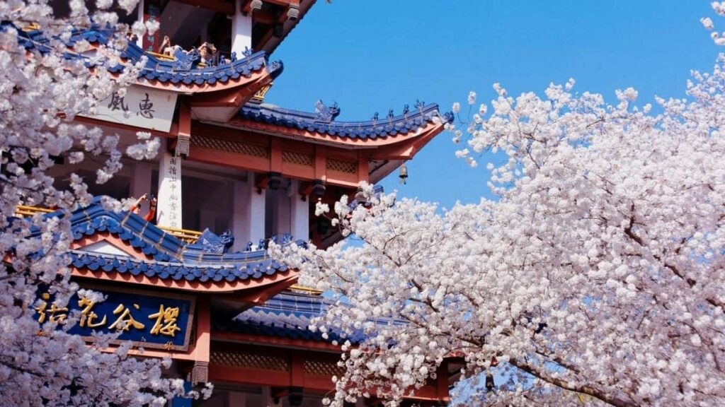 2025 South Korea Twitter AllCategory Advertising Rate Card for Niger