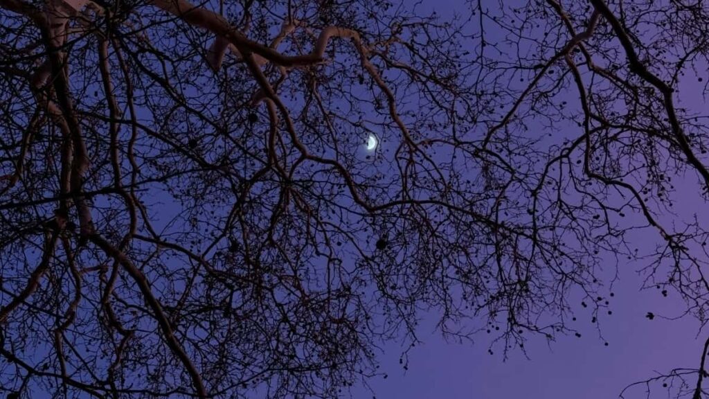 2025 Qatar Twitter AllCategory Advertising Rate Card pour Niger