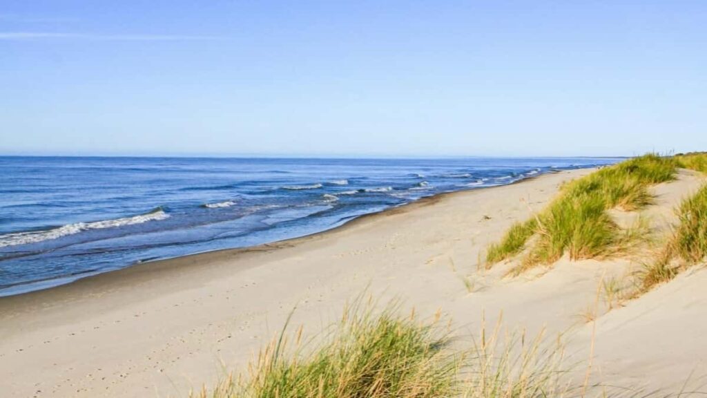 2025 Egypt TikTok AllCategory Advertising Rate Card pour Niger