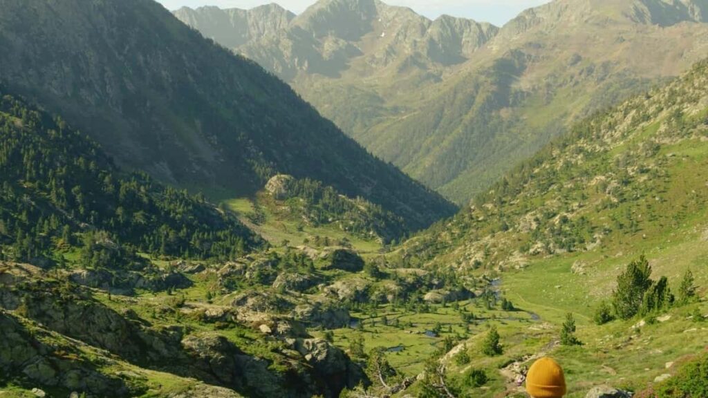 2025 Niger Pinterest Tarifs Publicitaires Tous Catégories