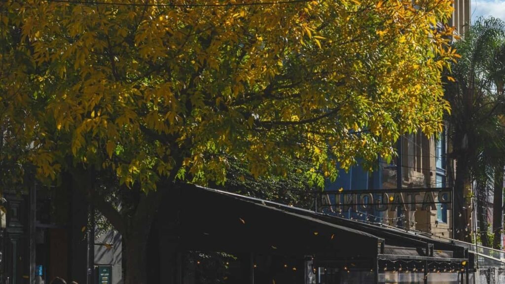 Tarifs Publicitaires Twitter 2025 au Koweït pour Niger