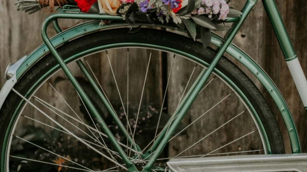 Tarif Publicitaire TikTok Inde 2025 Guide Complet Pour Niger