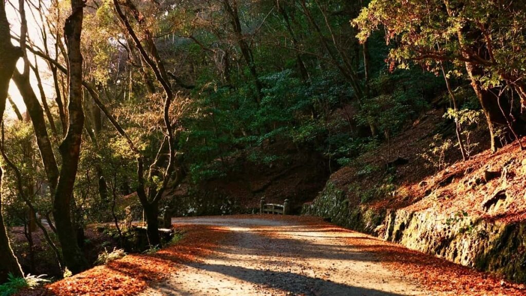 2025 Canada YouTube tarifs publicitaires pour Niger