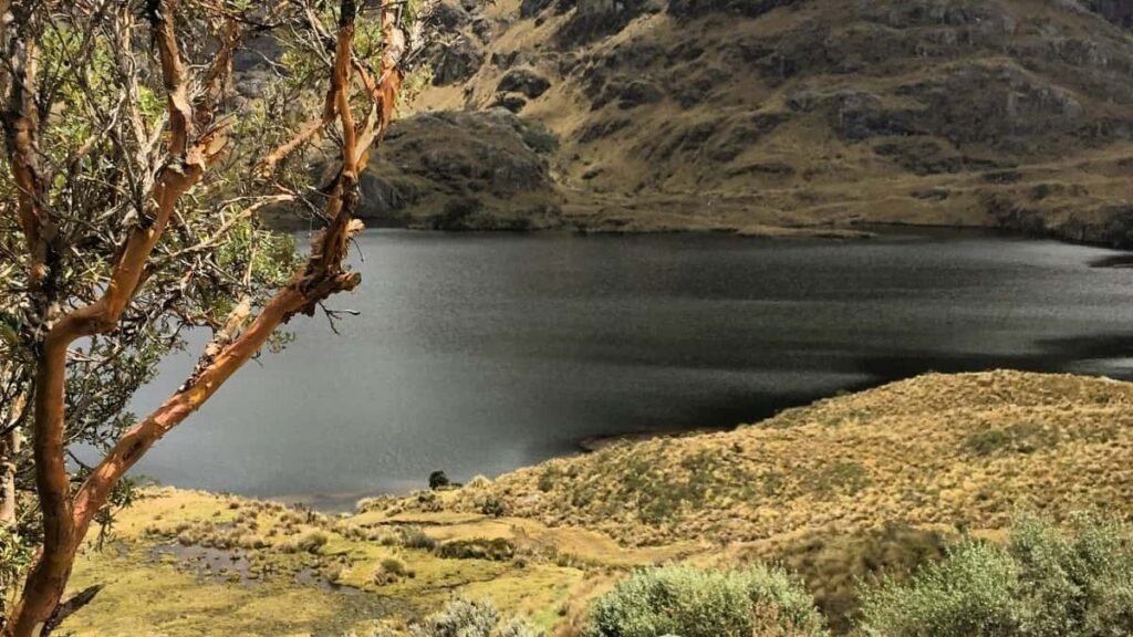 2025 France Telegram Tarifs Publicitaires pour Niger