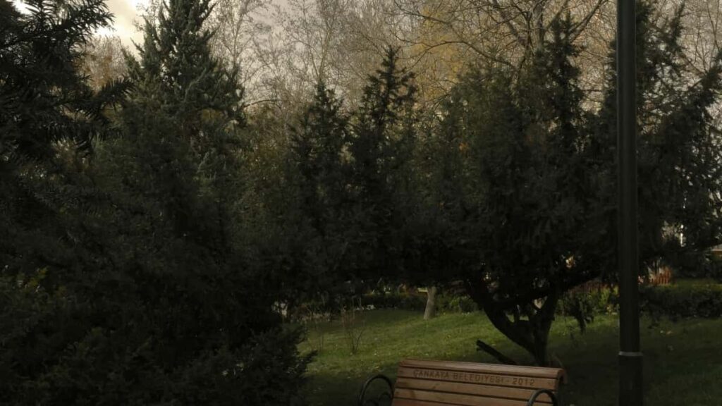 Tarif Publicitaire Twitter Egypte 2025 Pour Le Niger