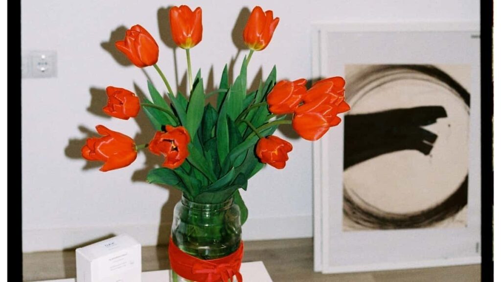 Tarif Publicitaire WhatsApp Algérie 2025 Pour Marché Niger