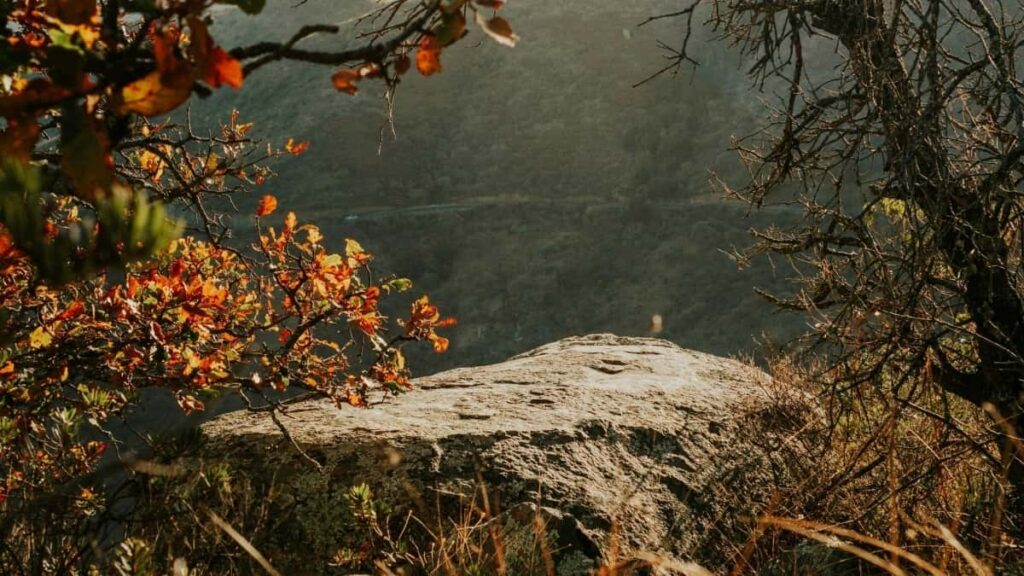 Taux Publicitaires Pinterest Pays Bas 2025 pour Niger