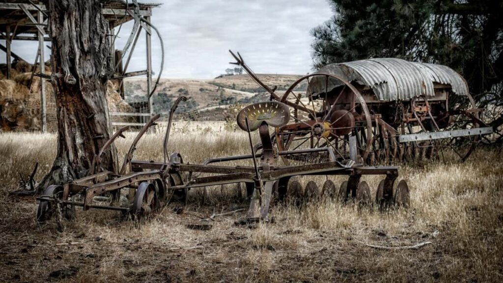 2025 Egypt LinkedIn tarifs pub détaillés pour Niger