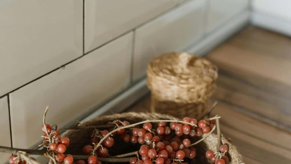 2025 Canada YouTube Tarif Publicitaire Toutes Catégories Niger