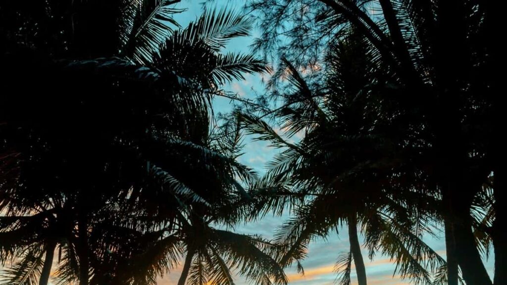 Tarif Publicitaire Telegram 2025 Pour Le Canada Depuis Niger