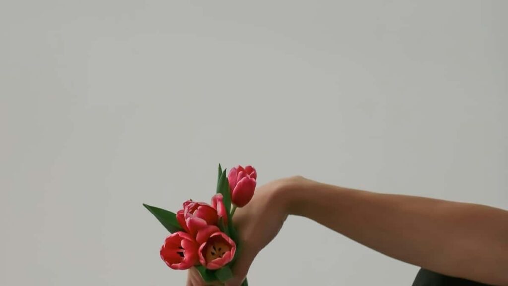 Tarifs Publicitaires LinkedIn Italie 2025 pour Niger