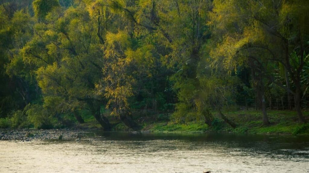 2025 Morocco TikTok Tarifs Publicitaires Tous Catégories Niger