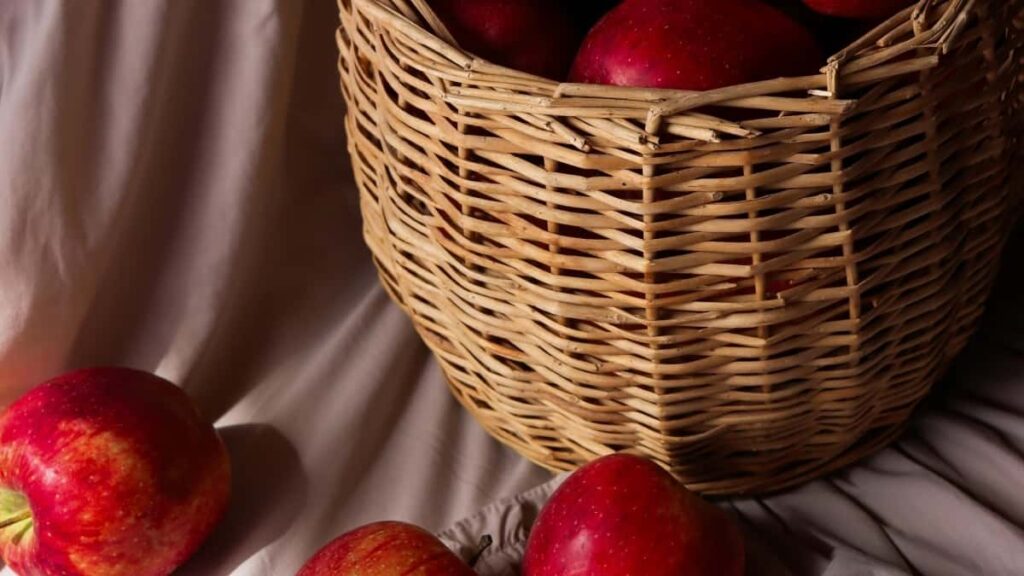 2025 Niger Telegram Tarifs Publicitaires Tous Secteurs