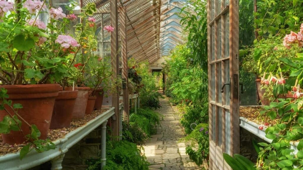 2025 Indonesia Facebook tarification publicitaire complète pour Niger