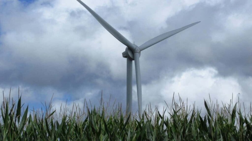 Tarif Publicitaire TikTok Burkina Faso 2025 Niger Guide Complet