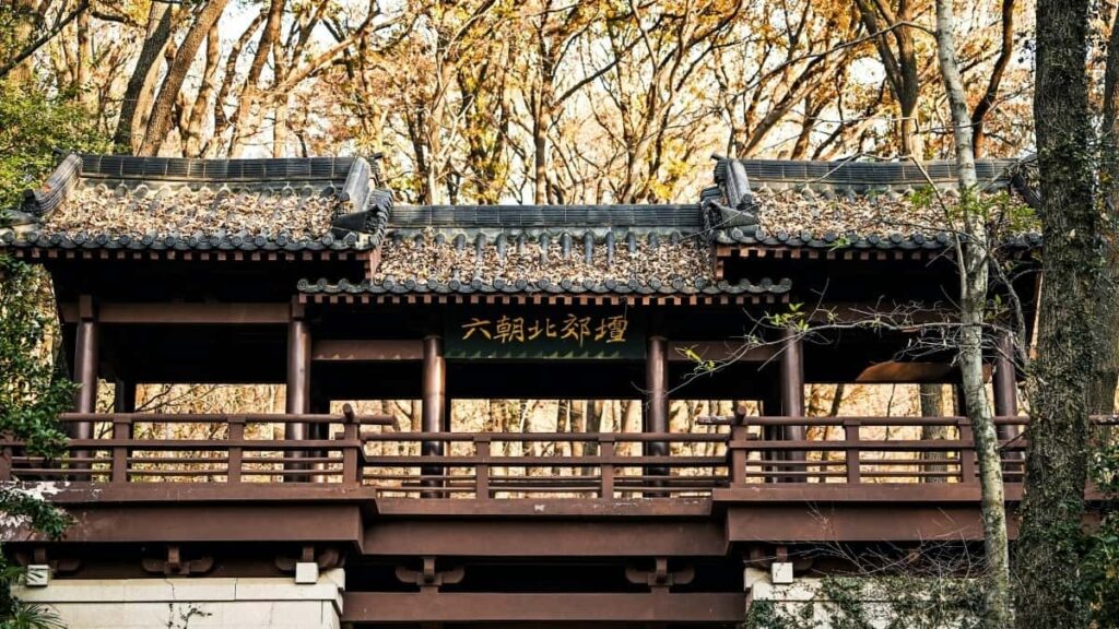 Tarifs Publicitaires TikTok États Unis 2025 pour Niger