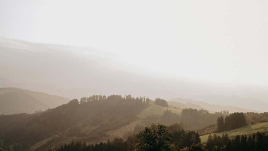 Tarifs Publicitaires Youtube Japon 2025 Pour Niger