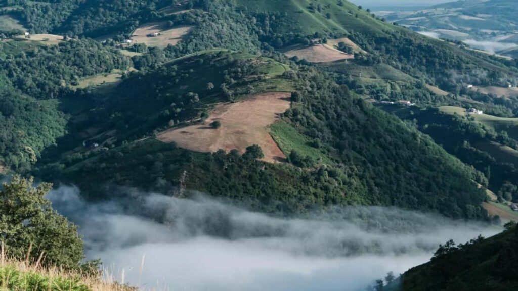 2025 Qatar TikTok tarifs publicitaires toutes catégories Niger