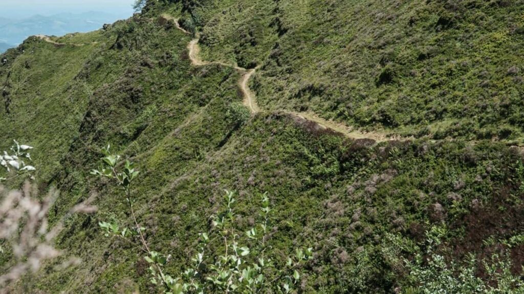 Tarif Publicitaire Snapchat Inde 2025 pour Marché Niger