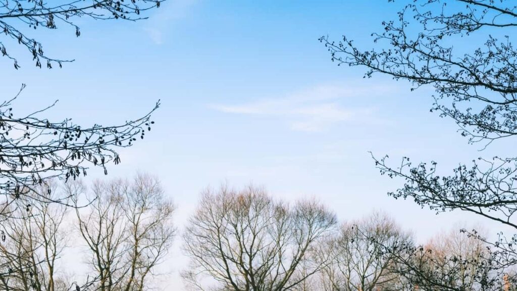 2025 Spain Twitter tarifs pub globaux pour Niger annonceurs