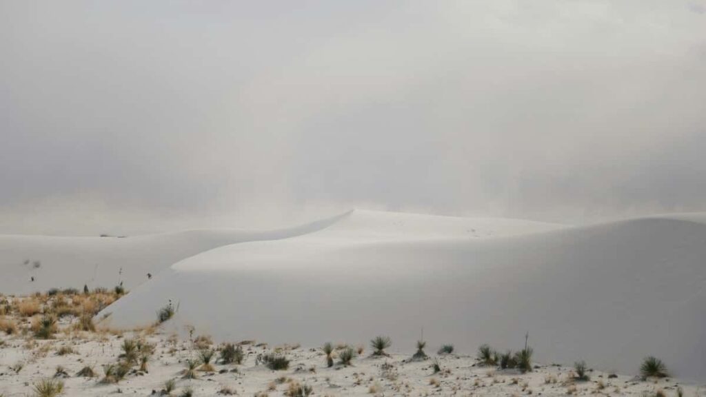 Tarifs Publicitaires Instagram Inde 2025 pour Niger