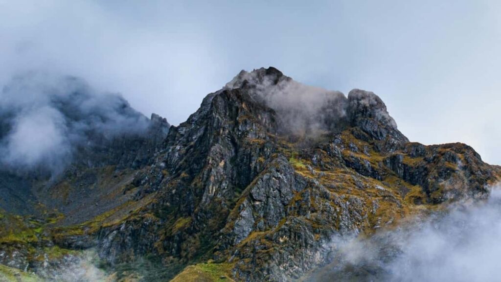 2025 Algeria WhatsApp Tarifs Publicitaires pour Niger