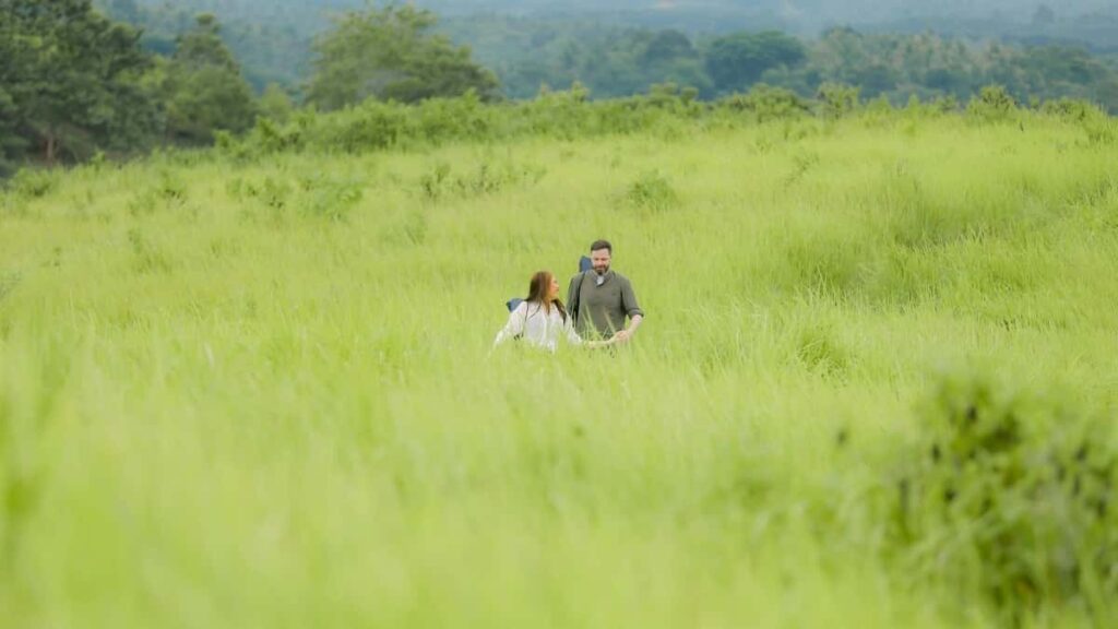 Tarif publicitaire Telegram 2025 aux Pays Bas pour Niger