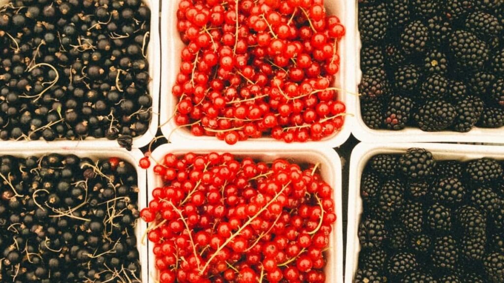 Barème 2025 des tarifs pub TikTok toute catégorie au Brésil