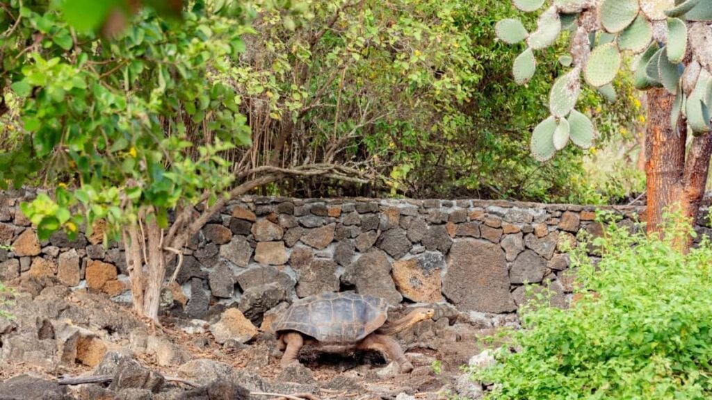 2025 Spain WhatsApp Tarifs Publicitaires pour Niger