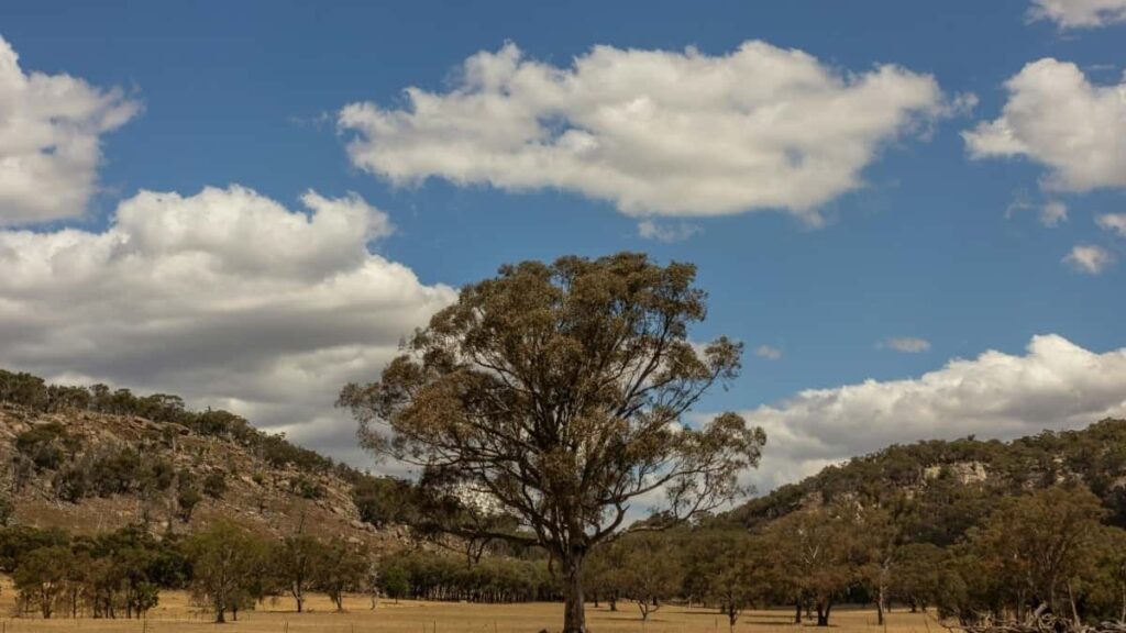 Tarifs Publicitaires LinkedIn Italie 2025 Pour Marché Niger