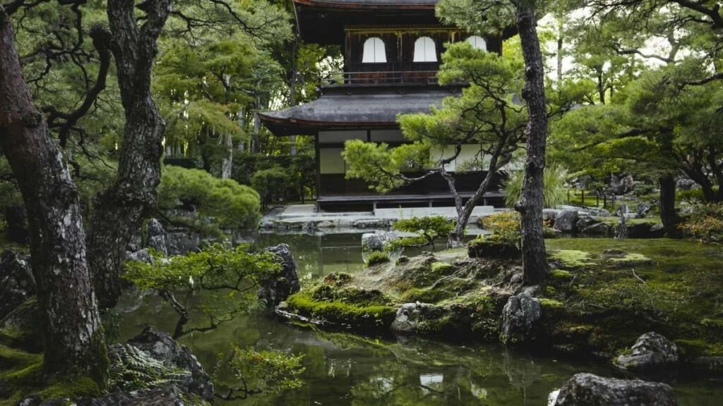 Découvrez comment créer du contenu viral sur Takatak avec Hedra, même au Niger, grâce à nos astuces et tutos simples.