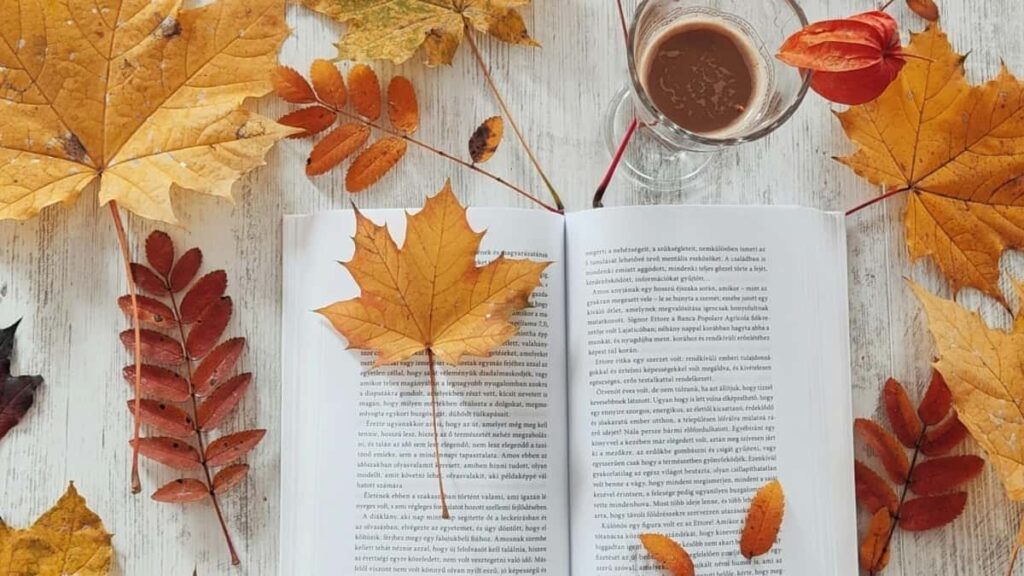 Découvrez comment les créateurs au Niger utilisent Lazada et le service de feedback pour booster leur présence et ventes.