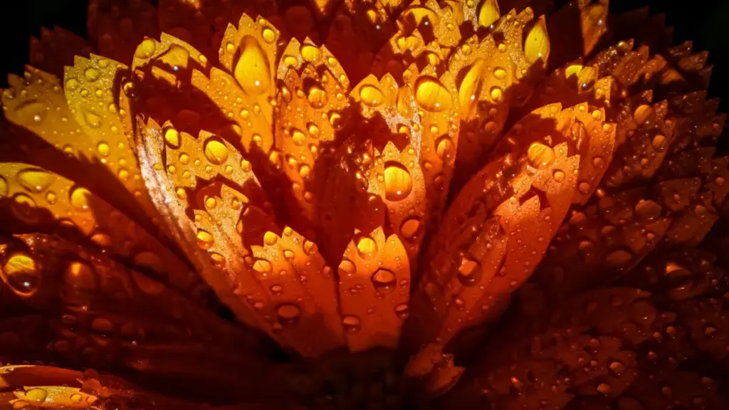 Découvre comment les marques au Kazakhstan utilisent Threads pour réussir leur sortie produit.