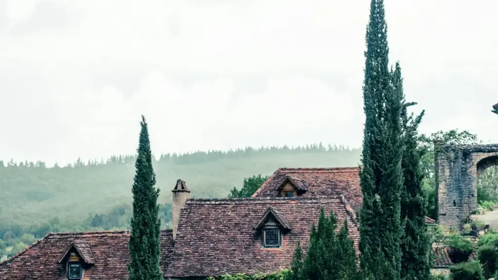 Découvre comment les créateurs Twitch aux Pays-Bas invitent et tirent parti du feedback de leur audience pour booster leur influence.