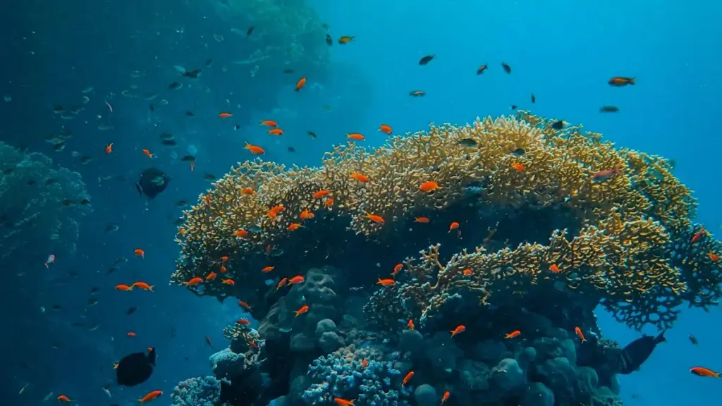 Guide pratique pour annonceurs au Niger: comment identifier et recruter des créateurs arméniens sur Douyin pour tester la demande marché.