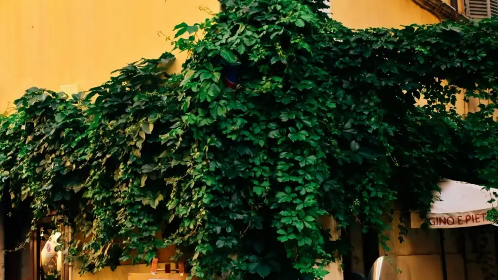 Apprenez à connecter avec les marques d'Azerbaïdjan sur Reddit et augmenter vos chances de collaboration en marketing d'influence.