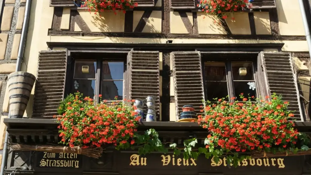 Découvrez comment les créateurs nigériens peuvent joindre les marques mongoles sur WhatsApp pour recevoir et présenter leurs PR packages.